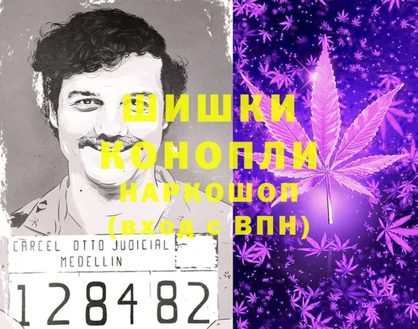 PSILOCYBIN Алзамай