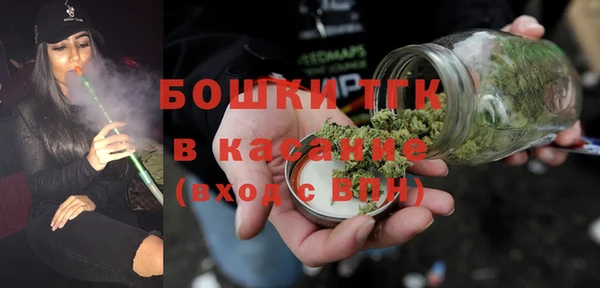 PSILOCYBIN Алзамай