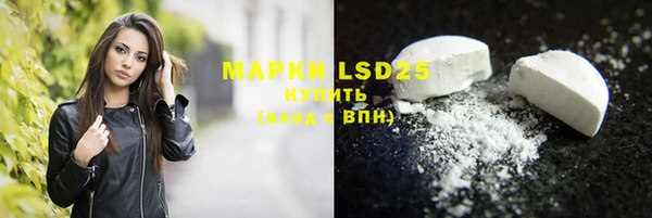 PSILOCYBIN Алзамай