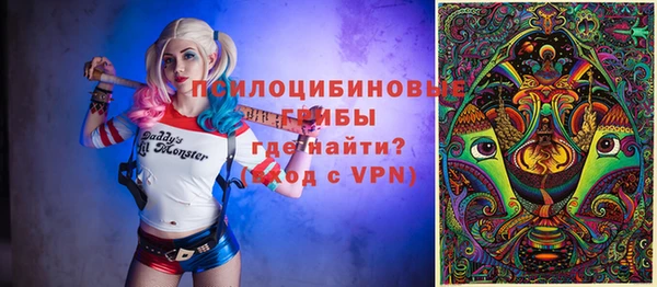 PSILOCYBIN Алзамай